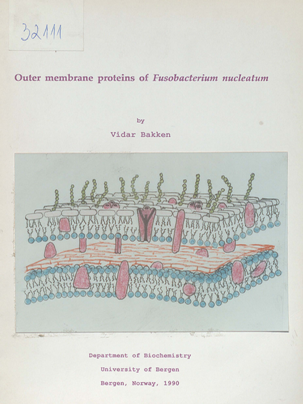 Outer membrane proteins of Fusobacterium nucleatum