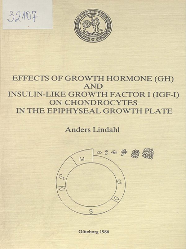 Effects of growth hormone (GH) and insulin-like growth factor I (IGF-I) on chondrocytes in the epiphyseal growth plate
