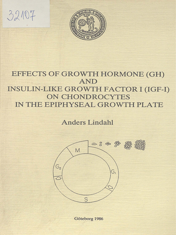 Effects of growth hormone (GH) and insulin-like growth factor I (IGF-I) on chondrocytes in the epiphyseal growth plate