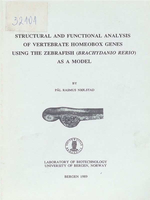 Structural and functional analysis of vertebrate homeobox genes using the Zebrafish (Brachydanio rerio) as a model