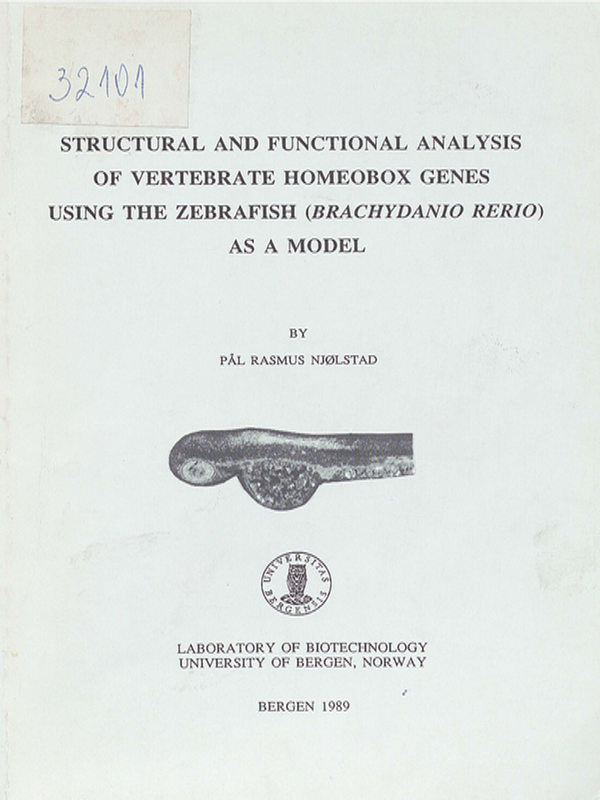 Structural and functional analysis of vertebrate homeobox genes using the Zebrafish (Brachydanio rerio) as a model