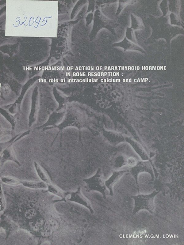 The mechanism of action of parathyroid hormone in bone resorption: the role of intracellular calcium and cAMP