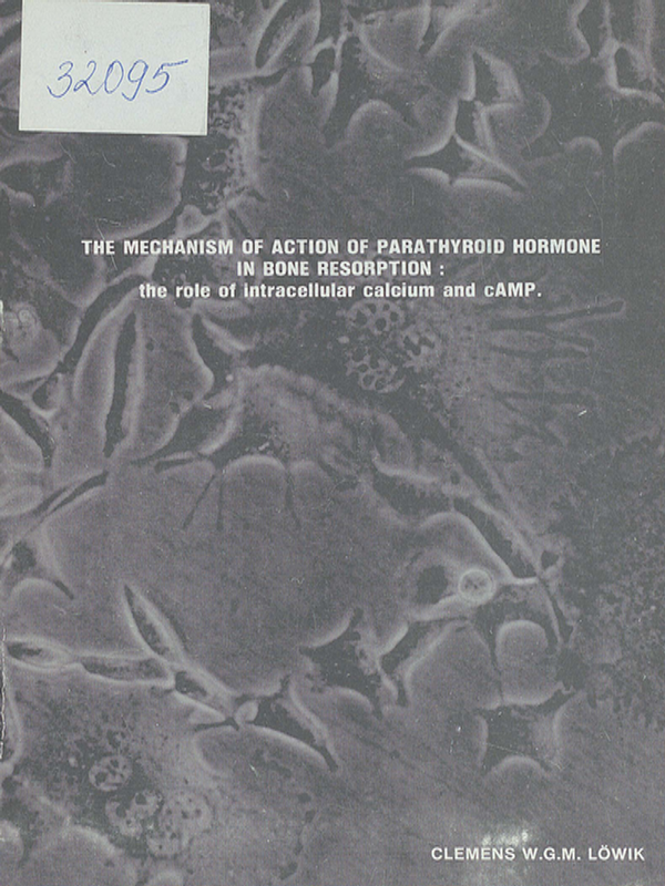 The mechanism of action of parathyroid hormone in bone resorption: the role of intracellular calcium and cAMP