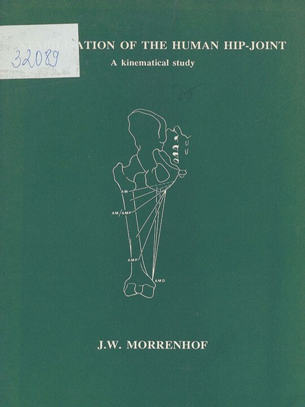 Stabilisation of the human hip-joint