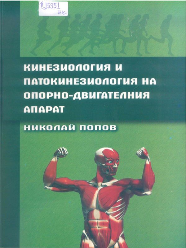 Кинезиология и патокинезиология на опорно-двигателния апарат
