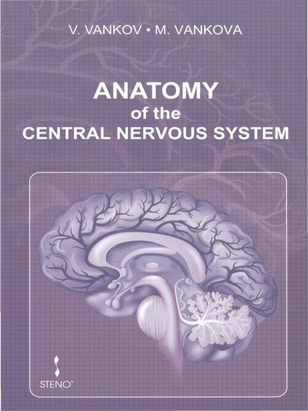 Anatomy of the central nervous system