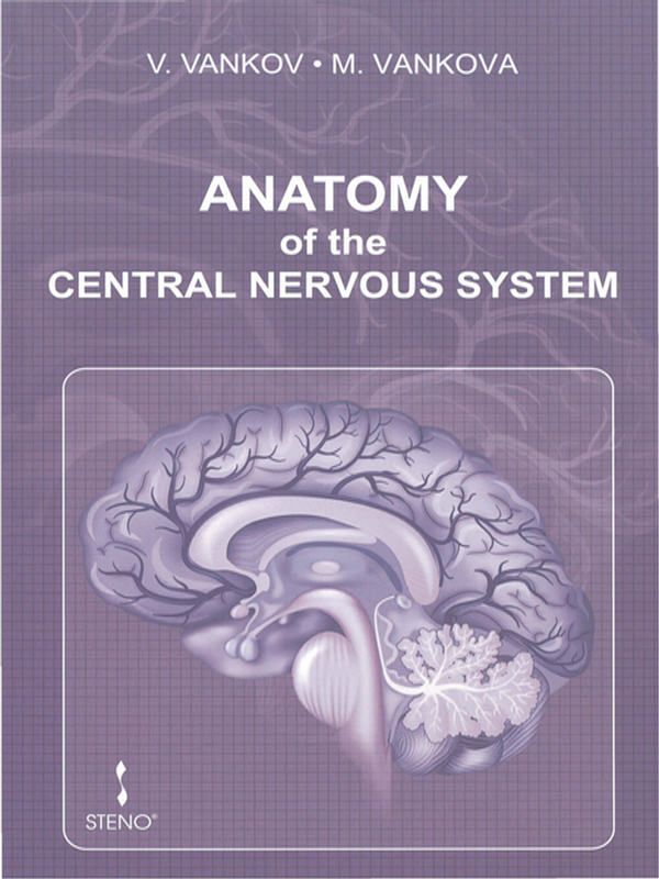 Anatomy of the central nervous system