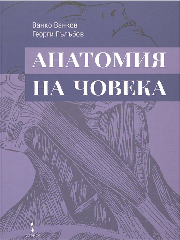 Анатомия на човека