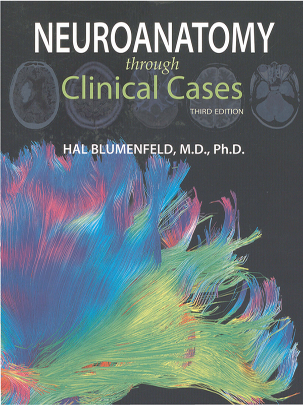 Neuroanatomy through clinical cases