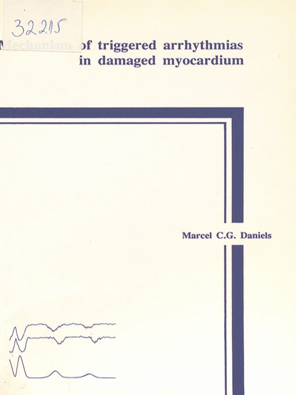 Mechanism of triggered arrhythmias in damaged myocardium