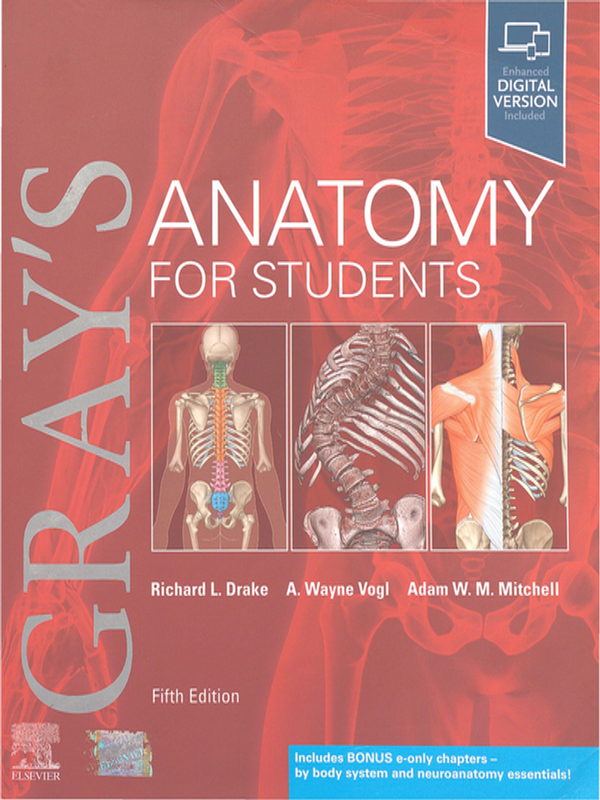 Gray`s anatomy for students