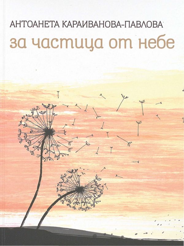 За частица от небе