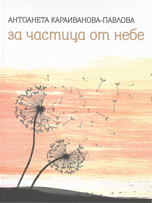 За частица от небе