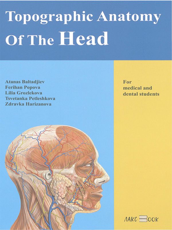 Topographic anatomy of the head
