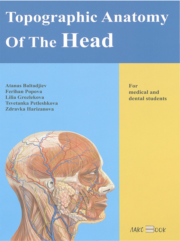 Topographic anatomy of the head