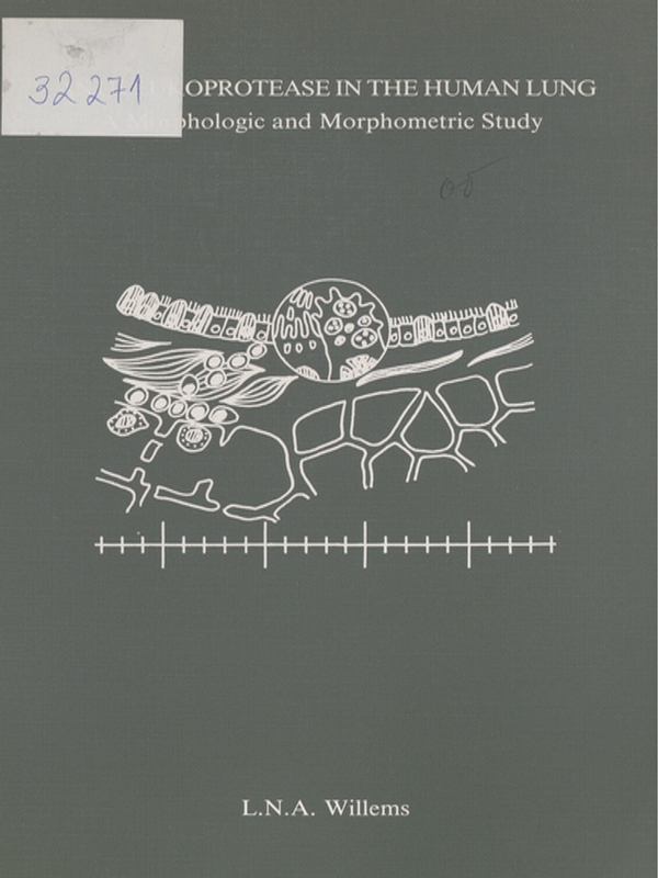 Antileukoprotease in the human lung