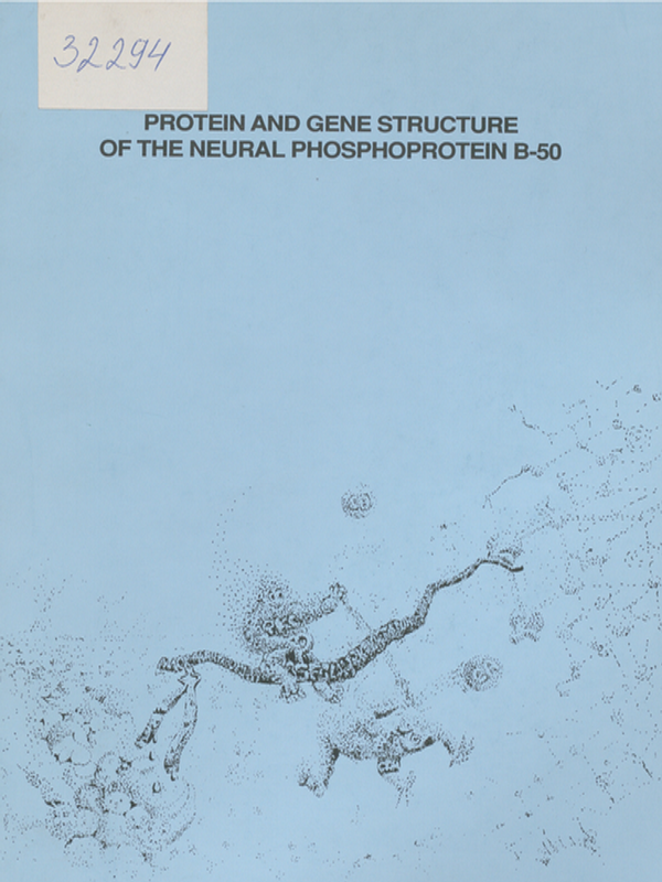 Protein and gene structure of the neural phosphoprotein B-50