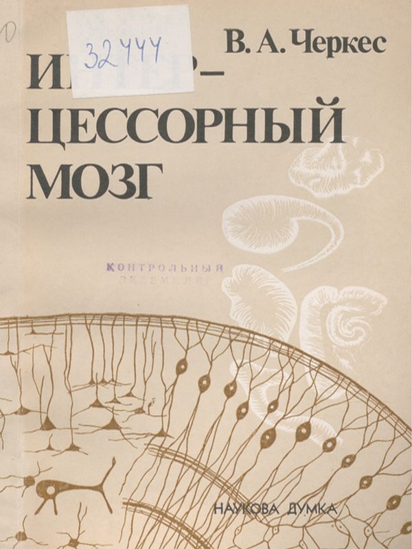 Интерцессорный мозг