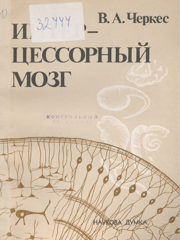 Интерцессорный мозг