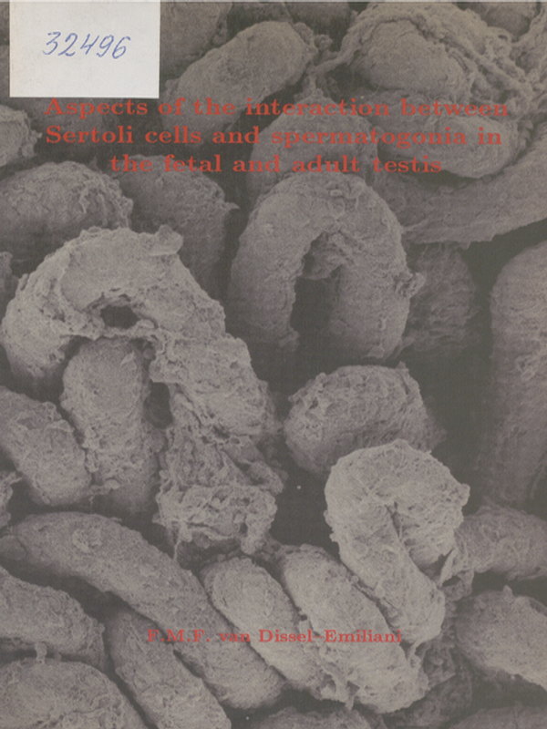 Aspects of the interaction between Sertoli cells and spermatogonia in the fetal and adult testis