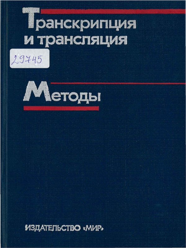 Транскрипция и трансляция