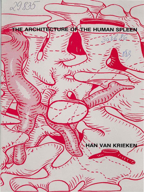 The architechture of the human spleen