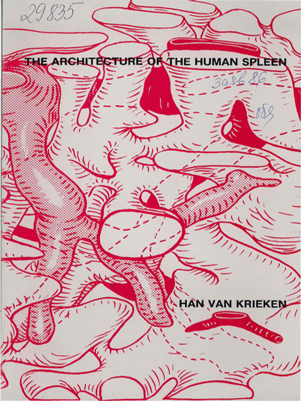 The architechture of the human spleen