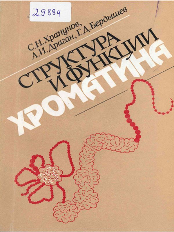 Структура и функции хроматина