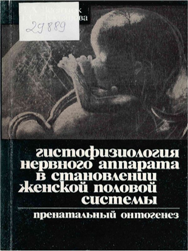 Гистофизиология нервного аппарата в становлении женской половой системы