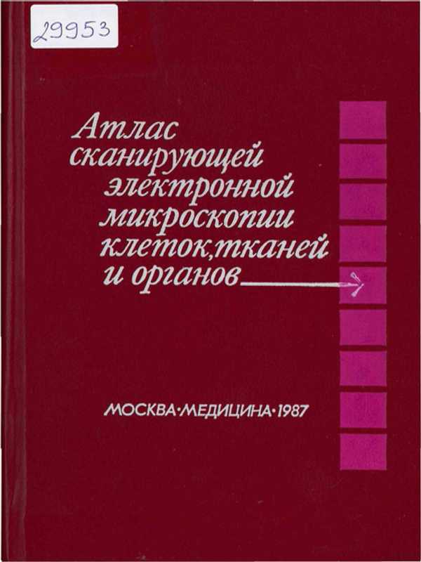 Атлас сканирующей электронной микроскопии клеток, тканей и органов