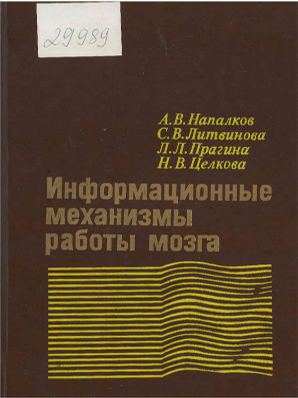 Информационные механизмы работы мозга