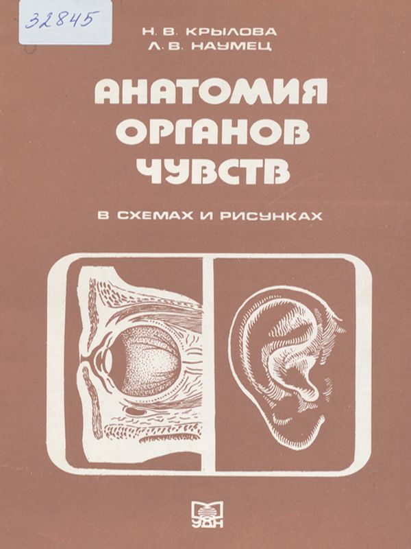 Анатомия органов чувств (в схемах и рисунках)