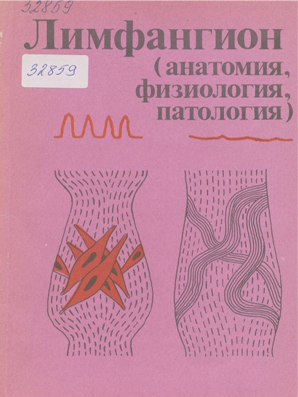 Лимфангион (анатомия, физиология, патология)