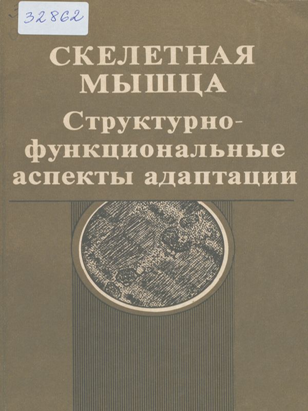 Скелетная мышца : Структурно-функциональные аспекты адаптации