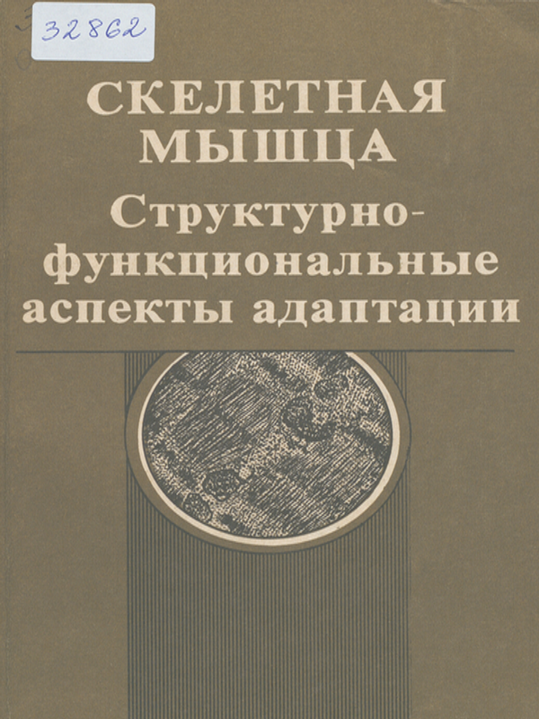 Скелетная мышца : Структурно-функциональные аспекты адаптации