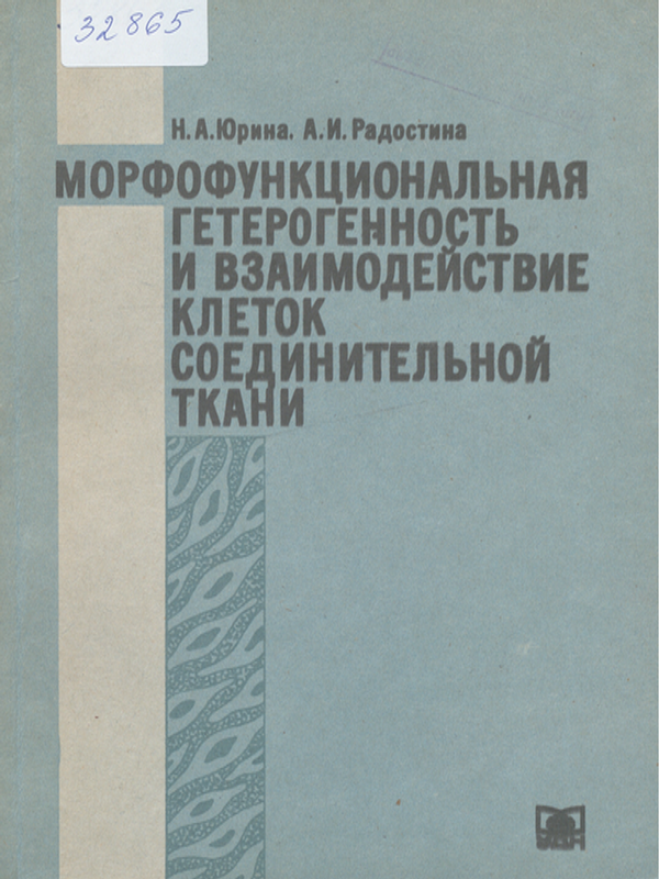 Морфофункциональная гетерогенность и взаимодействие клеток соединительной  ткани