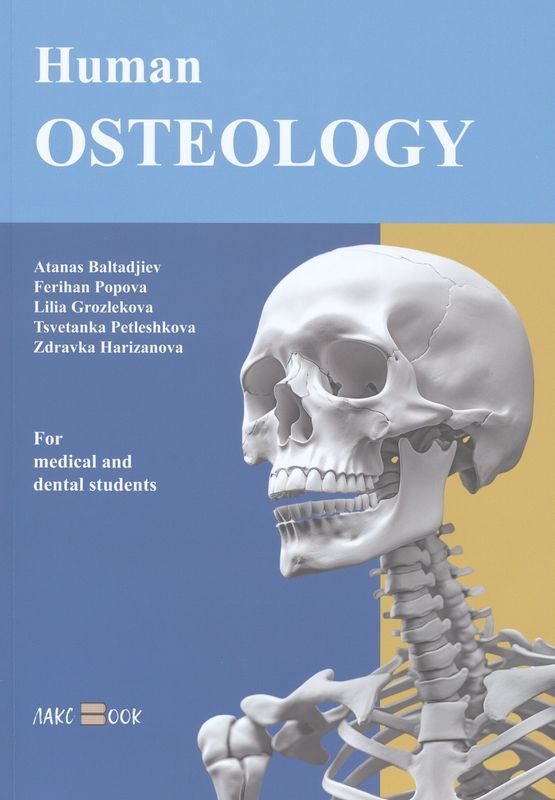Human osteology