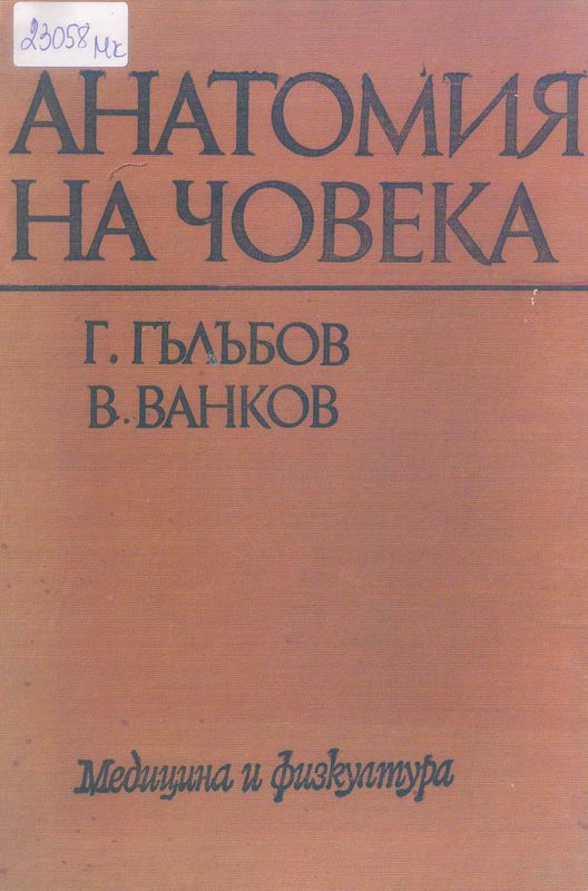 Анатомия на човека