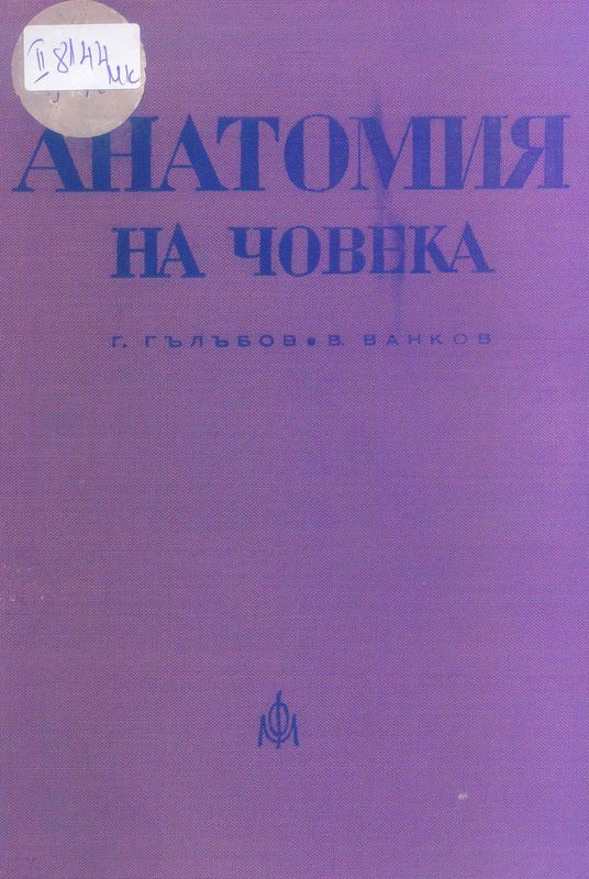 Анатомия на човека