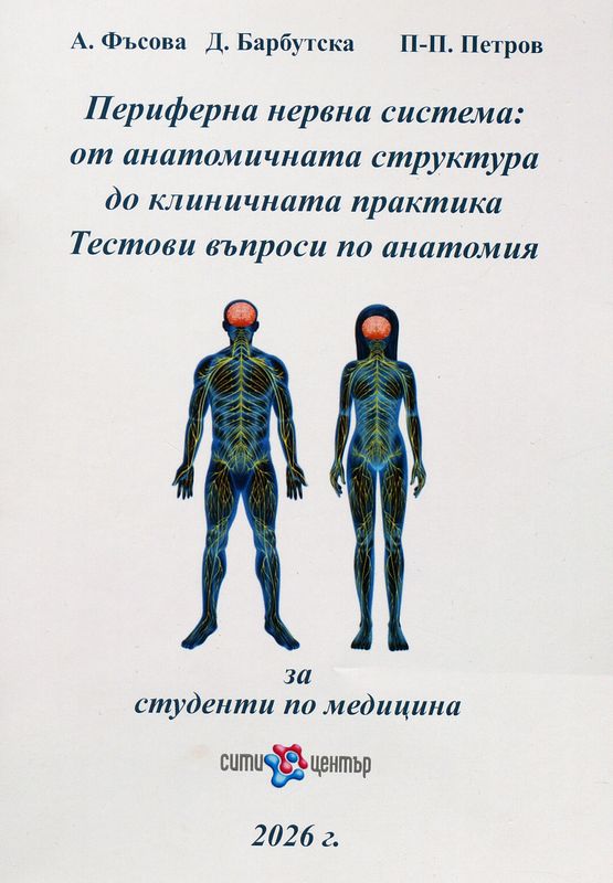 Периферна нервна система: от анатомичната структура до клиничната практика