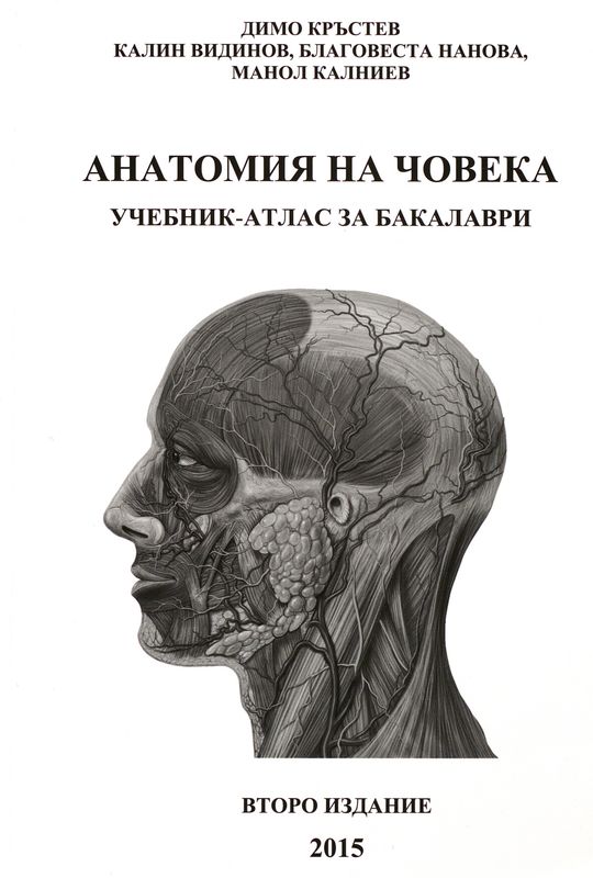Анатомия на човека
